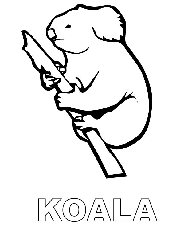 Koala Outline - Coloring Home