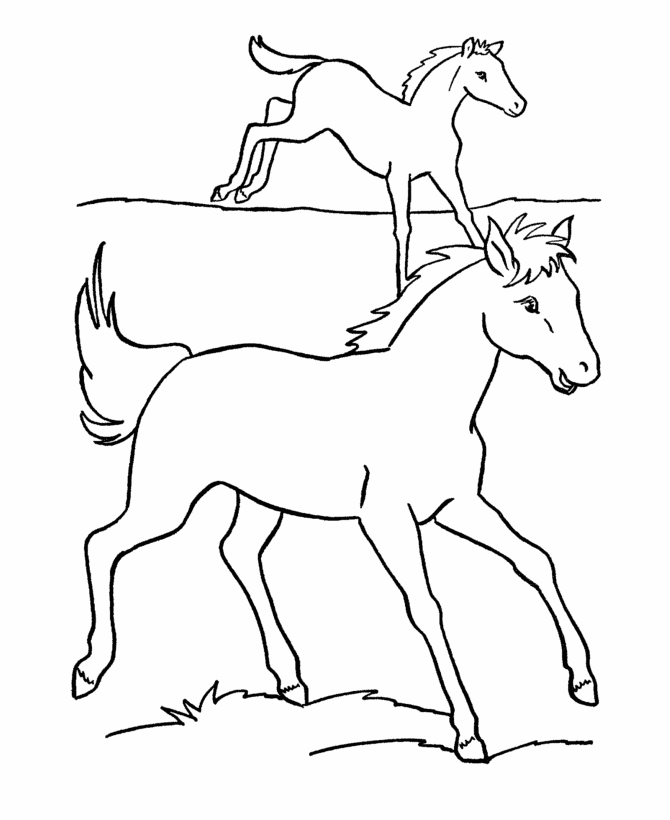 horse coloring pages print lab pictures