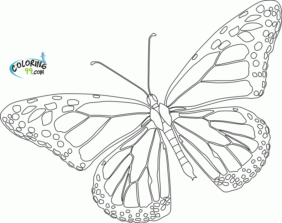 Butterfly Outline Printable - Coloring Home