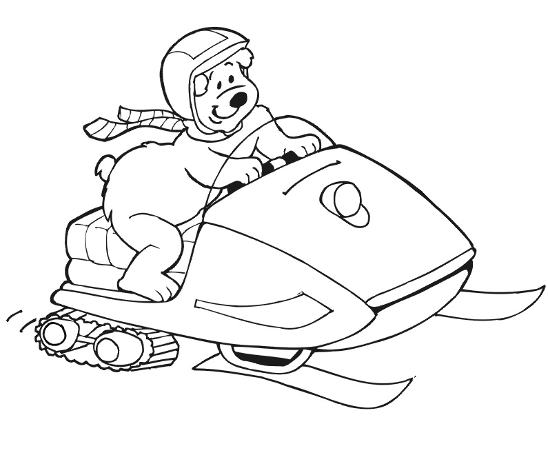Polar Bear Coloring Page: on Skidoo
