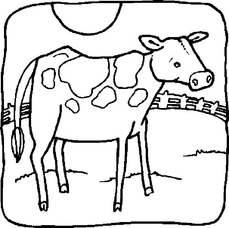 Full Size Cows Coloring Pages 19 - Free Printable Coloring Pages 