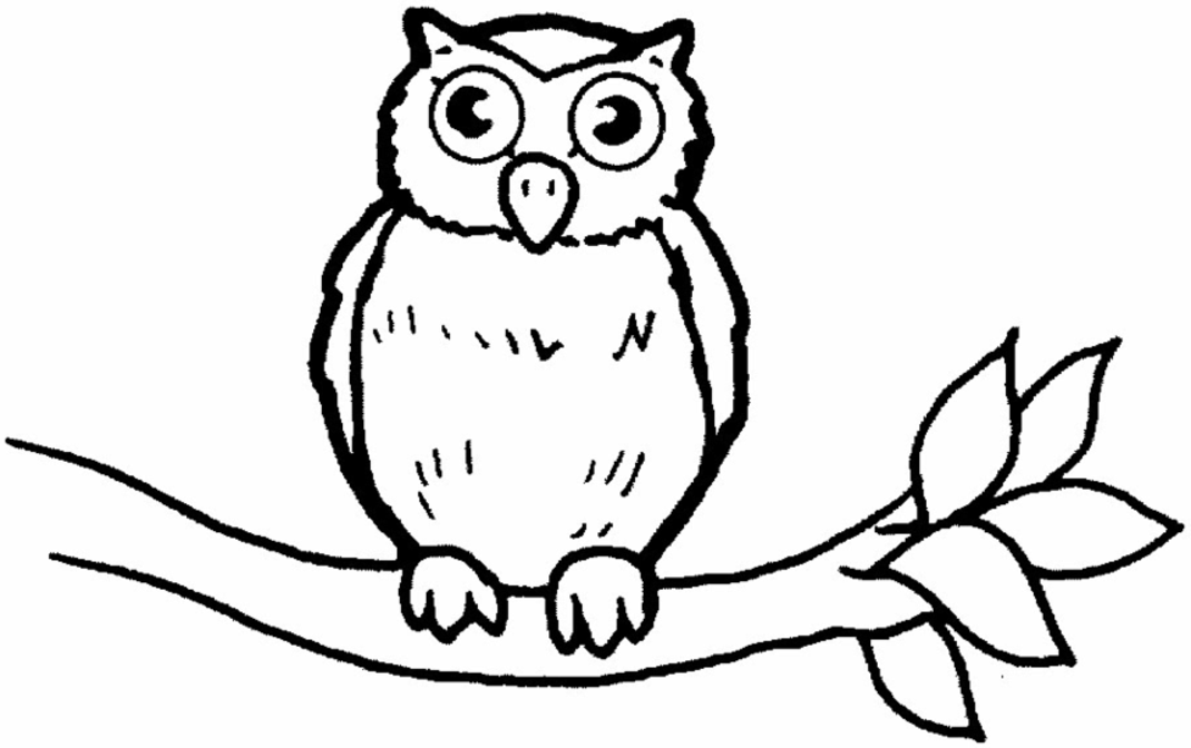 anime owls Colouring Pages
