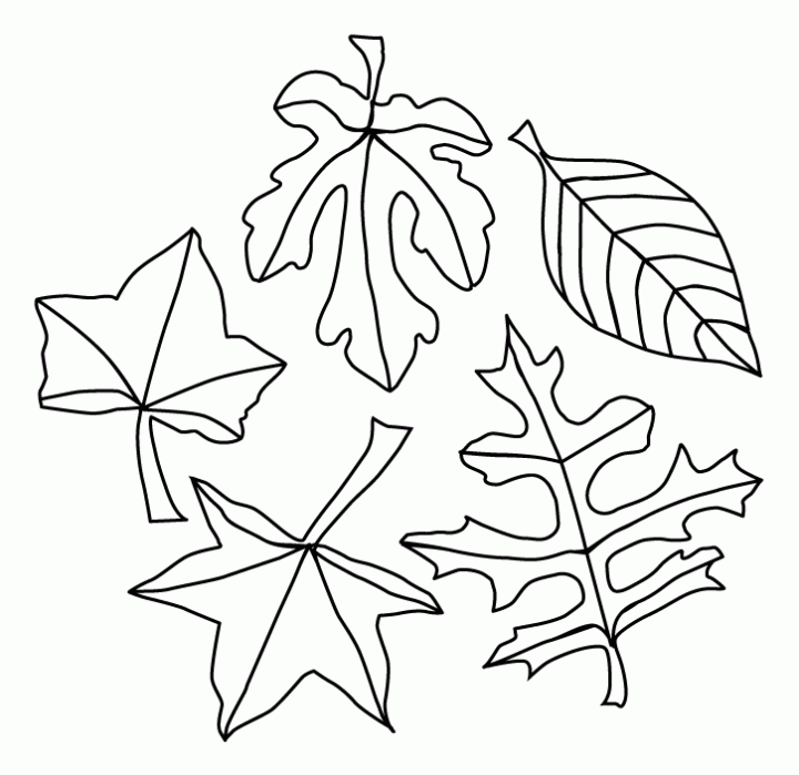 print out animals | Coloring Picture HD For Kids | Fransus.com718 