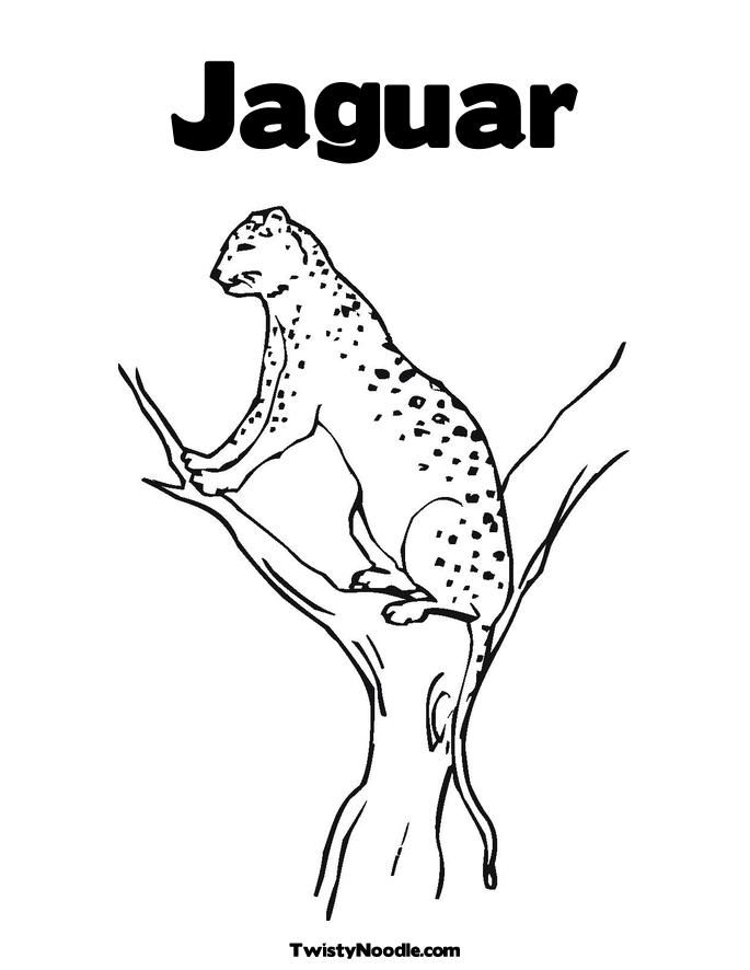 Jaguar Catches A Bird Coloring Page Car Pictures