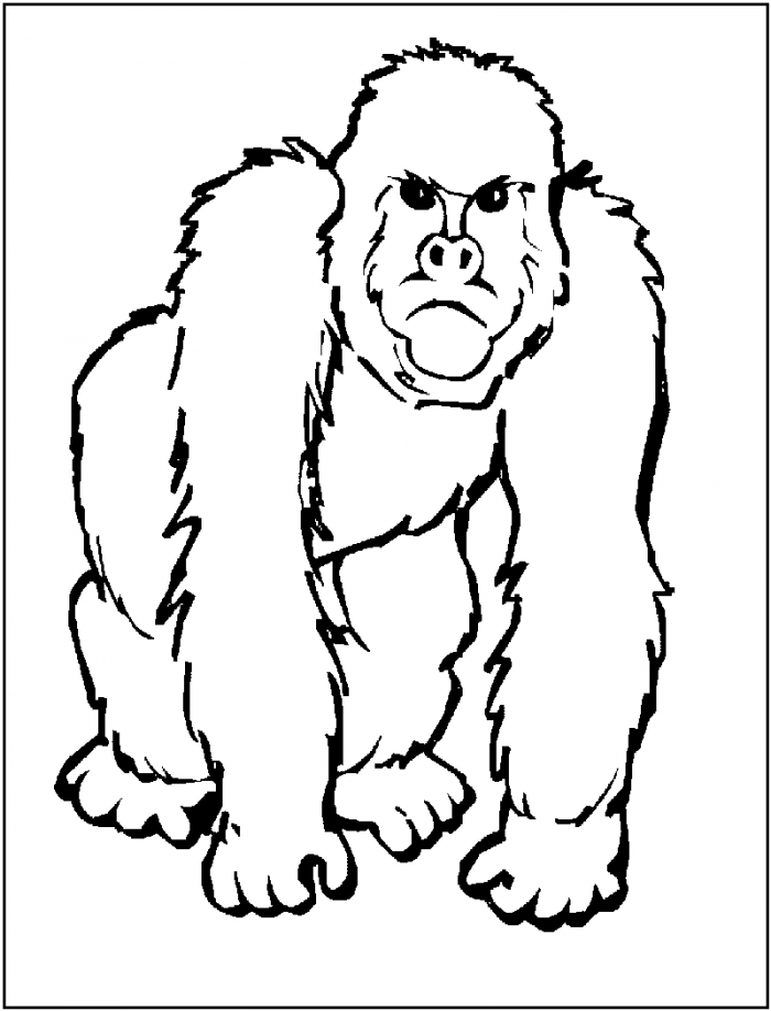 Gorilla Coloring Pages Coloring Home
