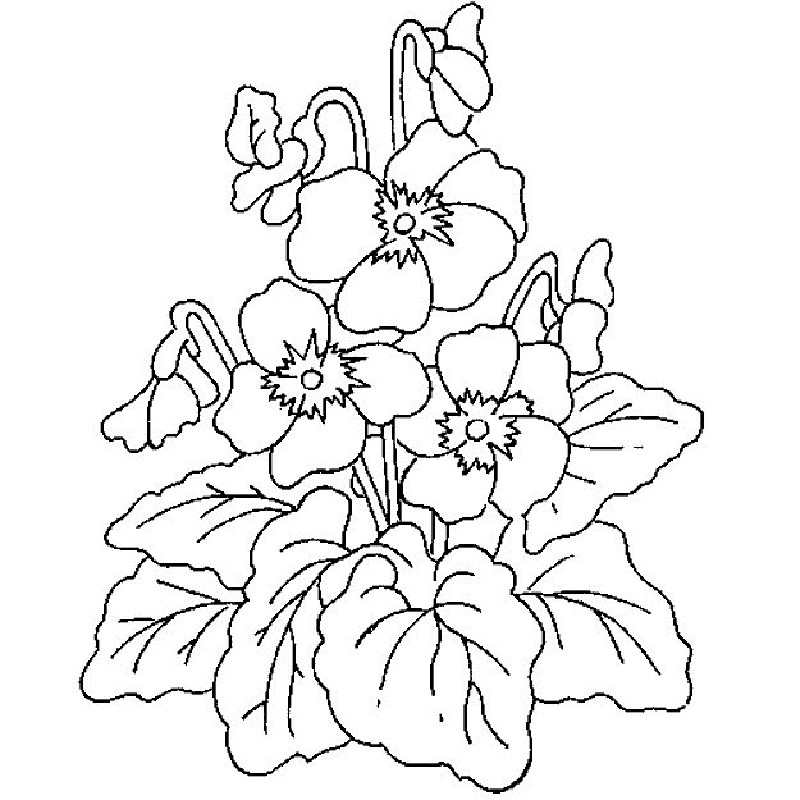 Flower Coloring Pages 5 | Free Printable Coloring Pages 