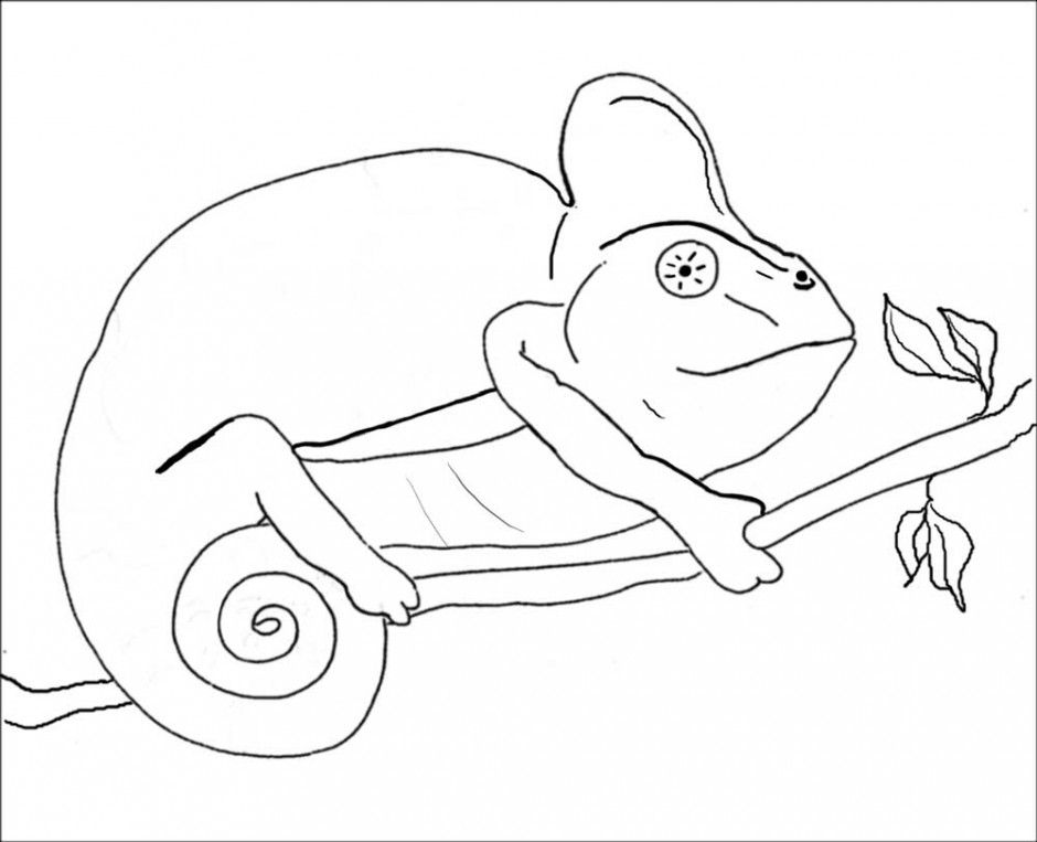 King Cobra Coloring Pages - Coloring Home