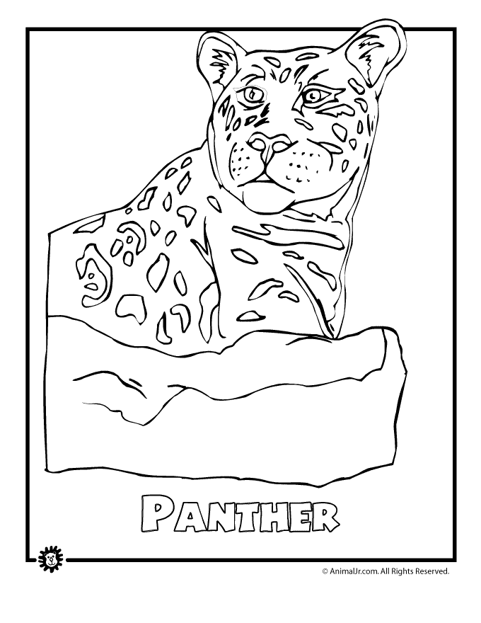 Rainforest Animals Coloring Pages Free Pdf