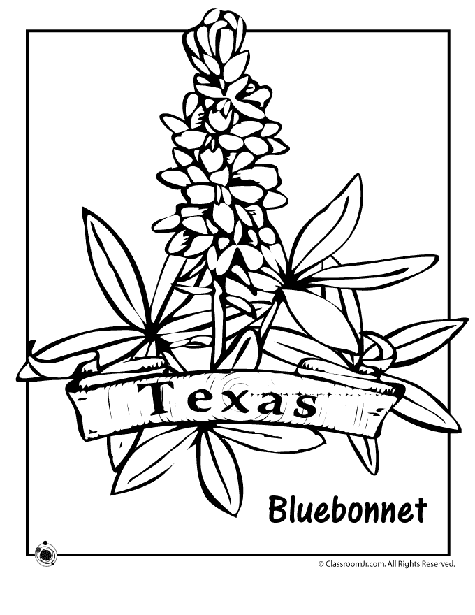 Texas State Symbols Coloring Pages Coloring Home