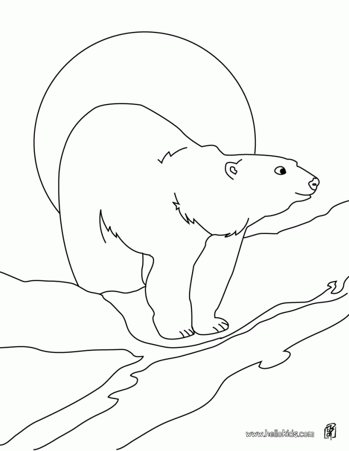 Polar Bear Coloring Pages To Print | 99coloring.com