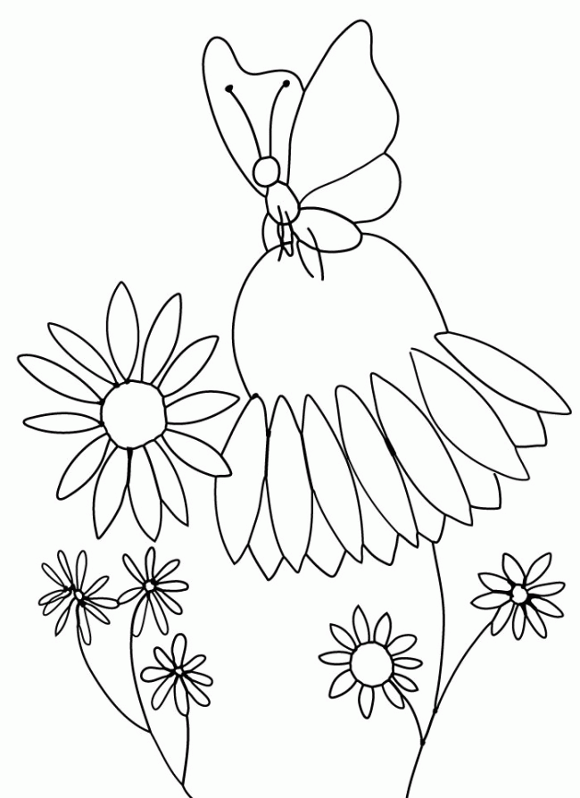 monarch cone flower daisy printable coloring page color
