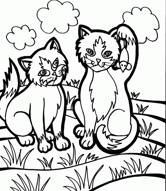 Home Garden Coloring Pages : Vegetable Garden Coloring Page : Use