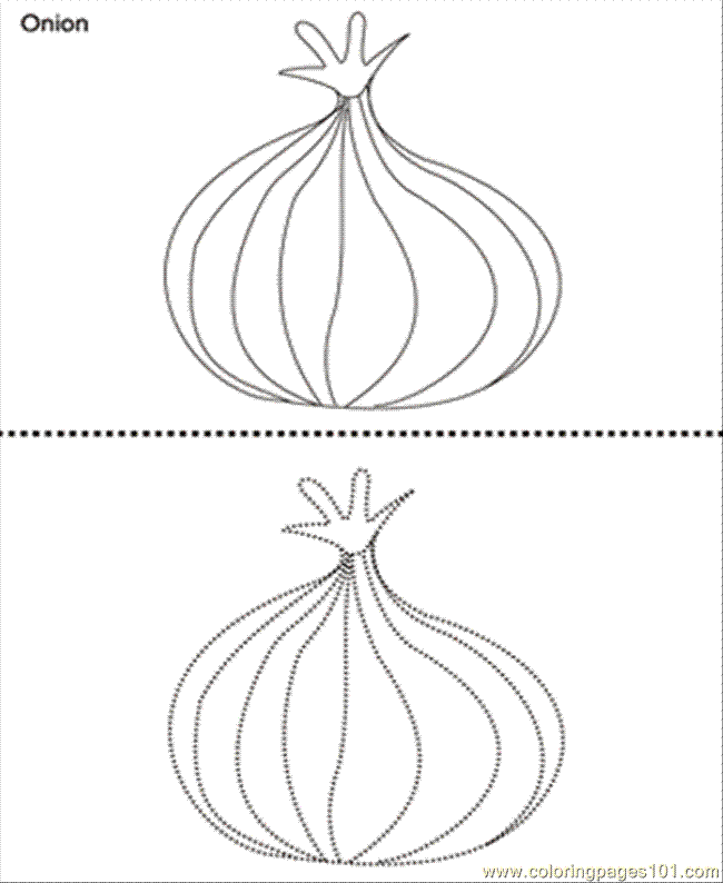 red onion Colouring Pages