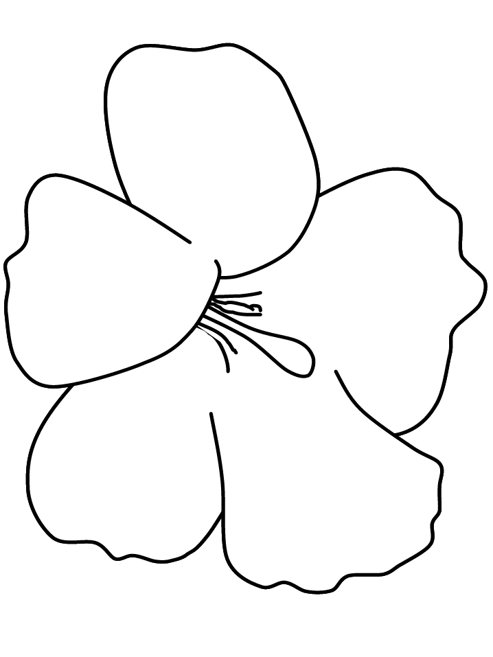 Spring Flower Template Coloring Home