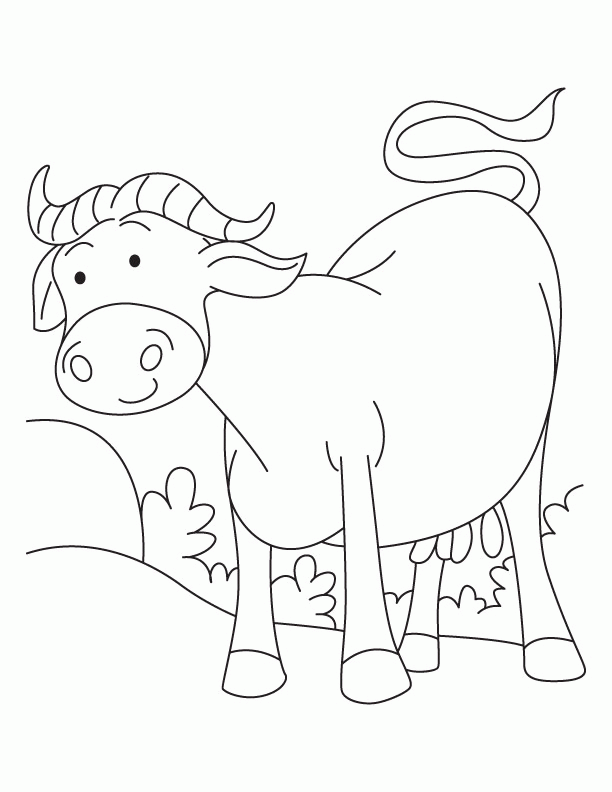 Buffalo standing in field coloring page | Download Free Buffalo 