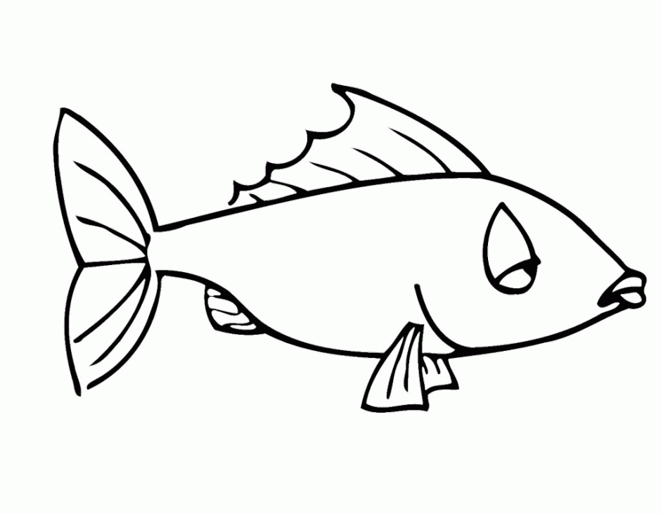 Puffer Fish Coloring Page Home Printable Pages Thingkid 139607