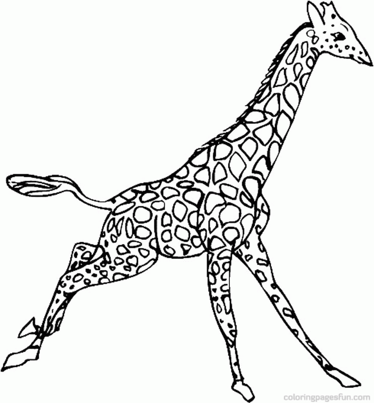 Giraffe | Free Printable Coloring Pages
