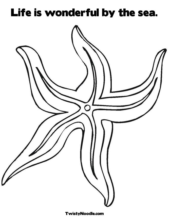 Sea Urchin Coloring Page Coloring Home