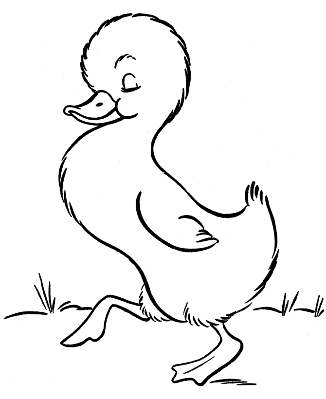 farm animal coloring pages printable baby duckling page