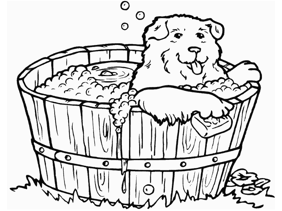 Bulldog Coloring Pages Dogs