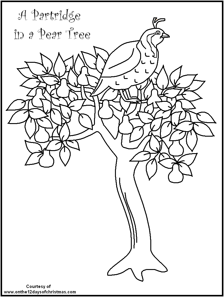 Twelve Days Of Christmas Coloring Pages Coloring Home