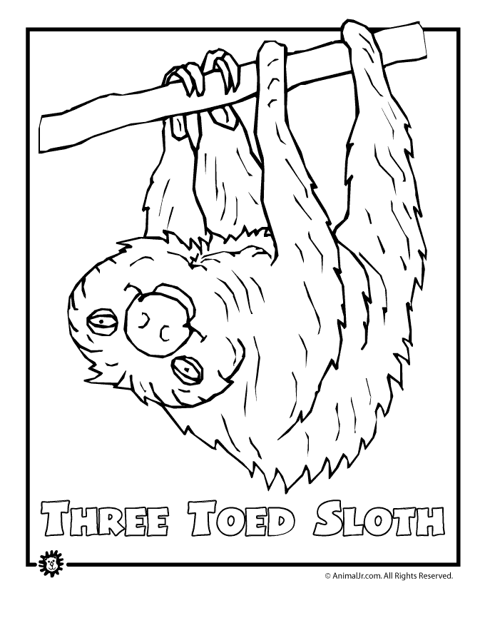 Rainforest Animals Coloring Page - Coloring Home