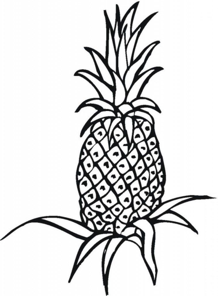 269 Animal Pineapple Coloring Page for Kids