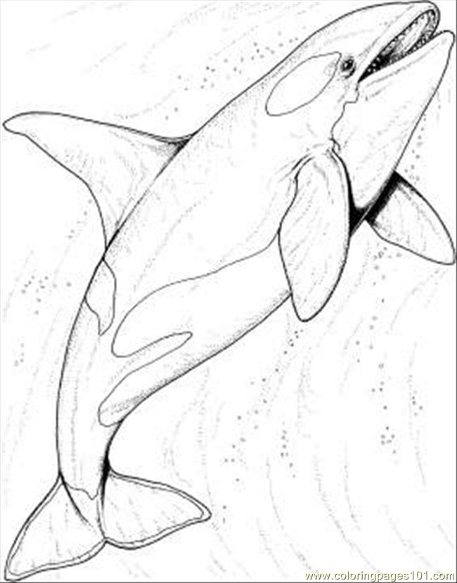 Ocean Fish Coloring Pages Free