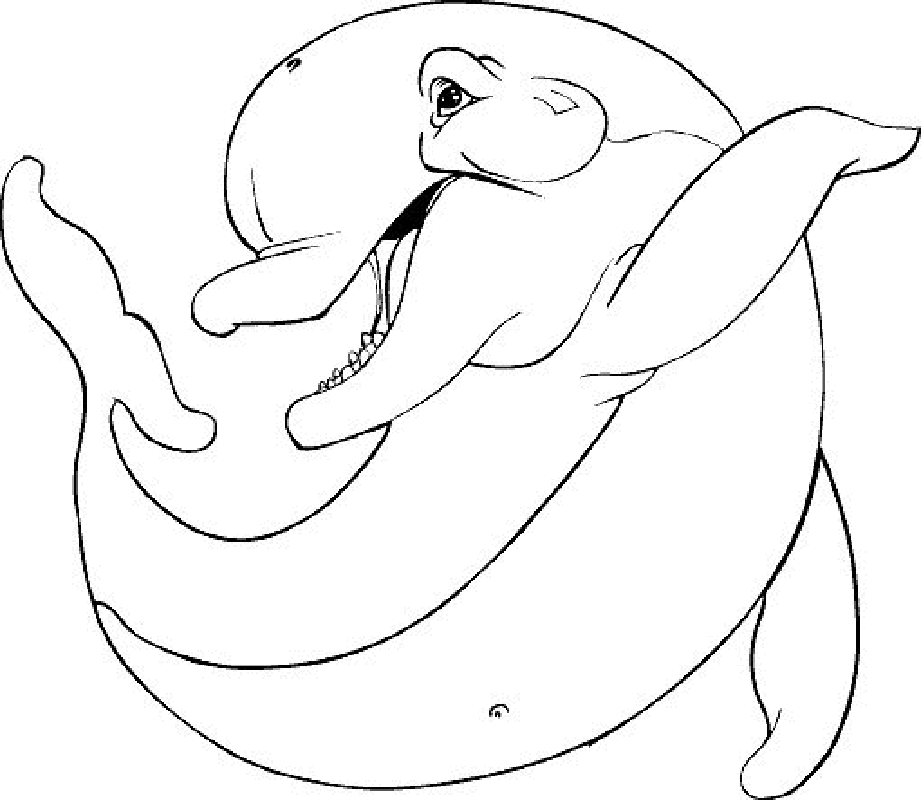 Dolphin Coloring Pages Printable Home Dolphins 2 Free