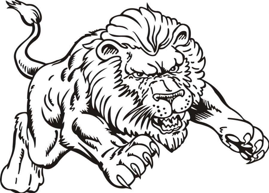 lion realistic coloring page