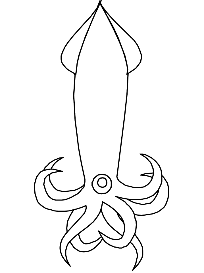 Printable Ocean Squid Animals Coloring Pages - Coloringpagebook.com
