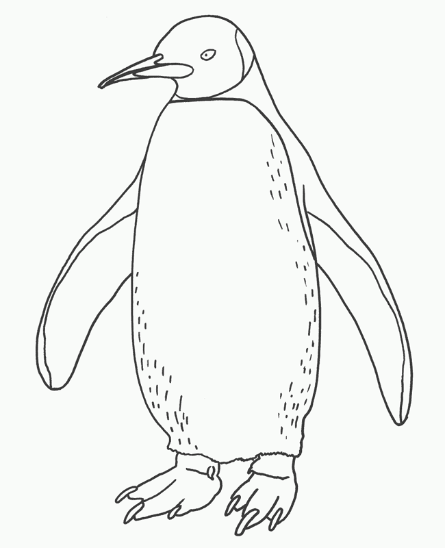 free-printable-penguin-coloring-pages-for-kids-coloring-home