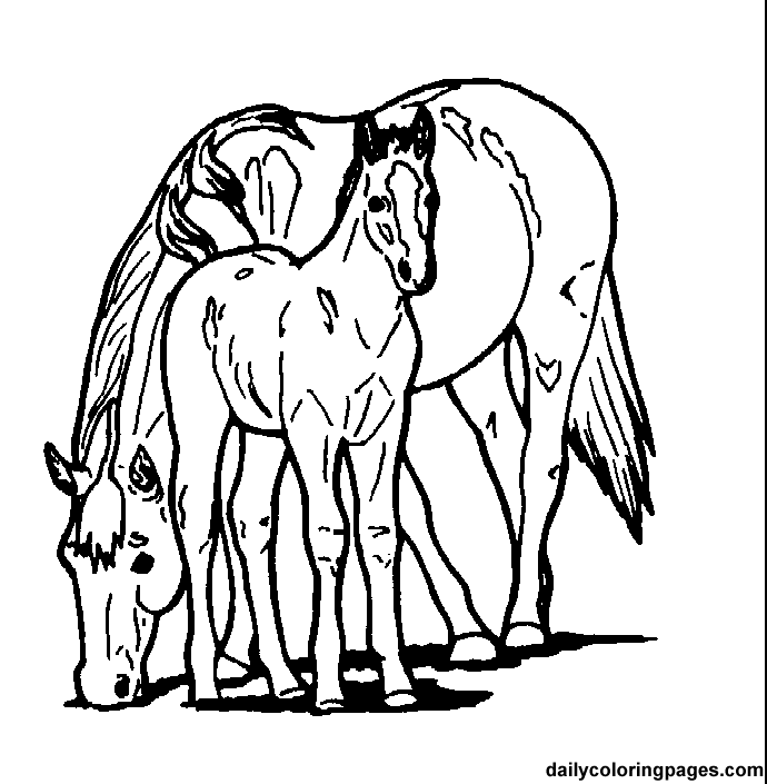 Barbie And Horse Colouring In X Coloring Pages