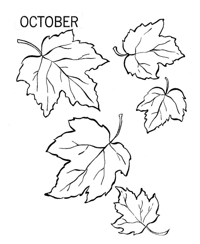 leaf shapes Colouring Pages (page 2)