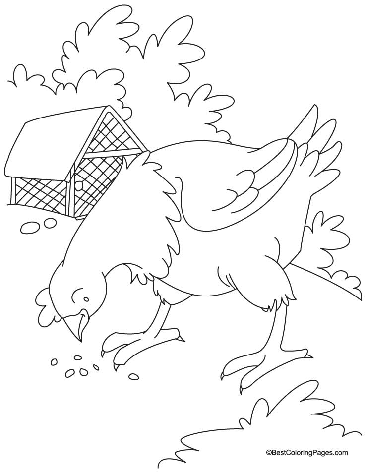 Give grain-egg gain hen coloring pages | Download Free Give grain 
