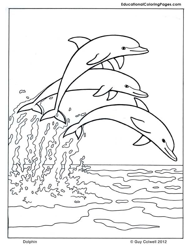 Mammals Book Two Coloring Pages | Animal Coloring Pages for Kids