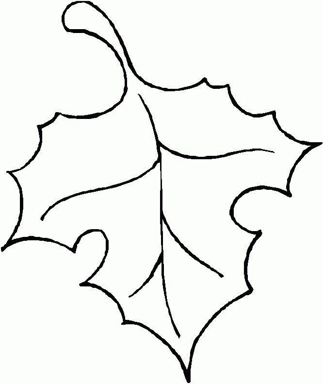 leaf outlines Colouring Pages