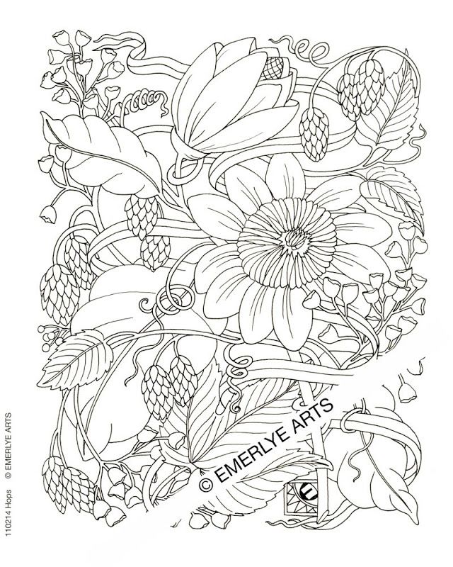 Printable coloring pages adults - Coloring Pages & Pictures - IMAGIXS