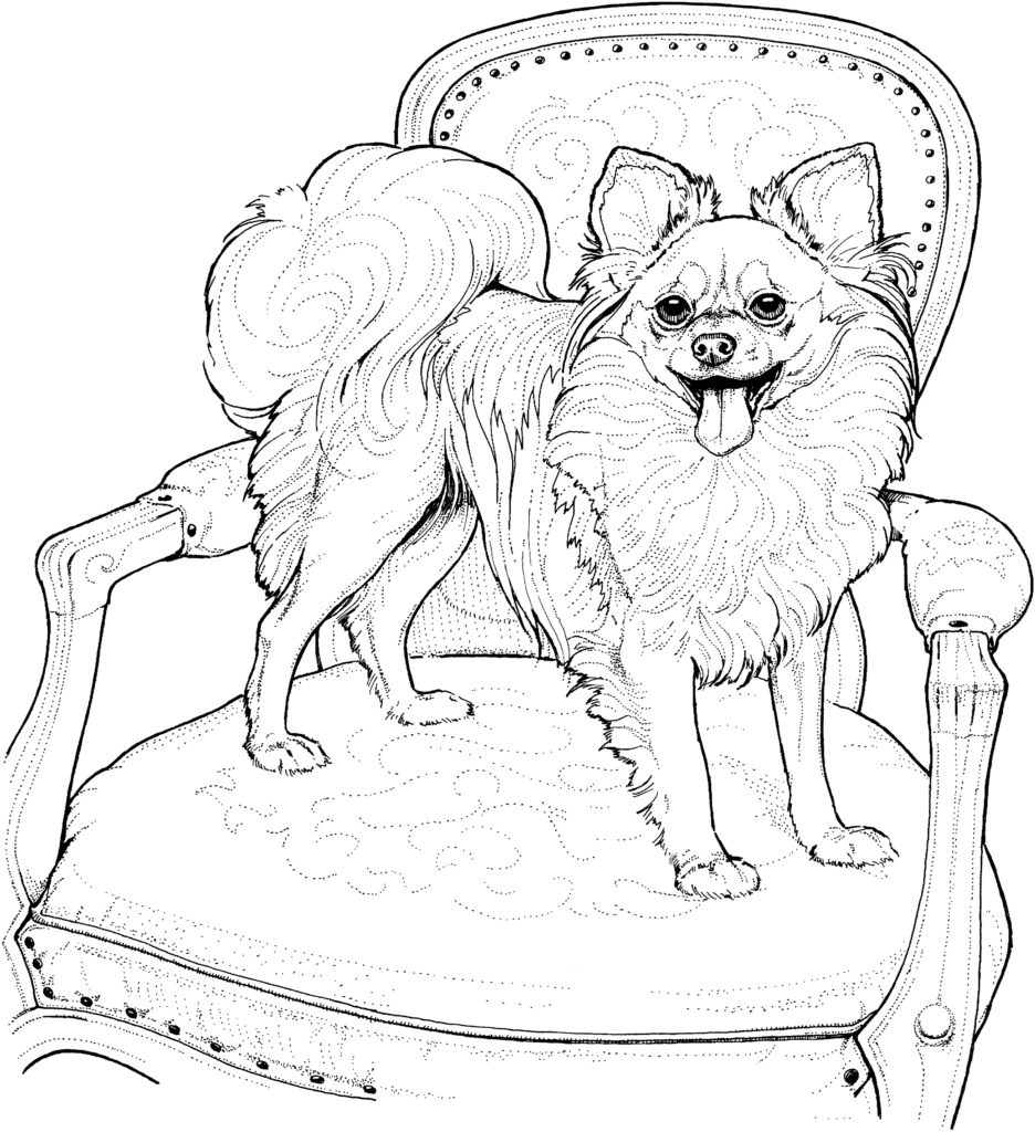 Marvellous Chihuahua Coloring Page Adult Flairs ~ Spaxa There&s ...