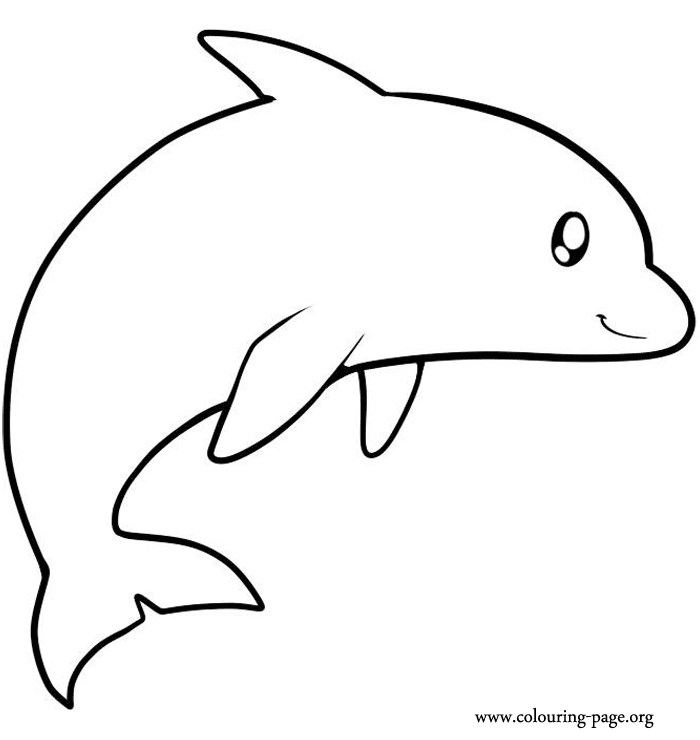 Of Dolphins - Coloring Pages for Kids and for Adults
