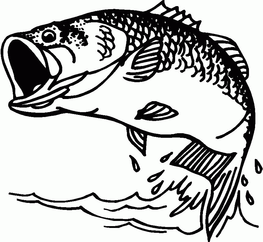 8 Pics Of Jumping Fish Coloring Pages - Jumping Bass Fish Drawings