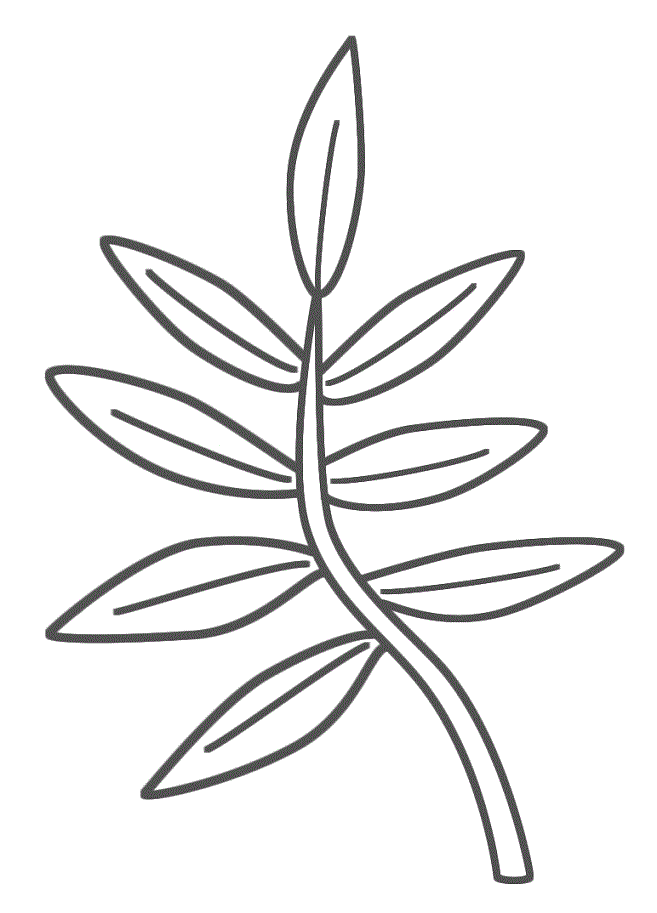 Palm Branch Coloring Page Coloring Home