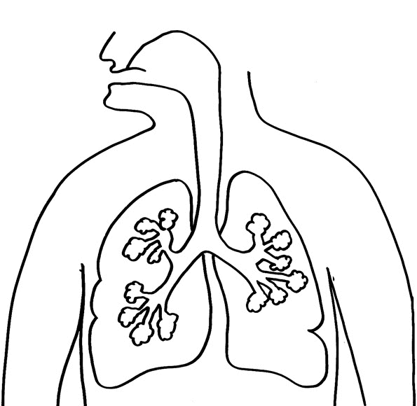 Respiratory System Coloring Page - Coloring Home