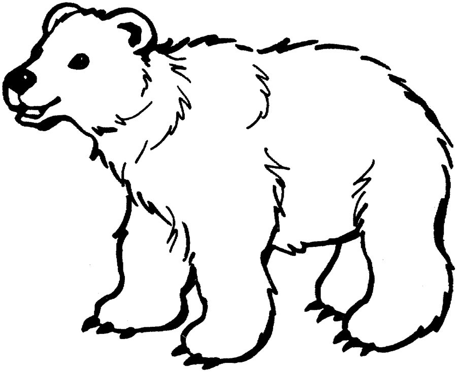 Baby Polar Bear Cartoon Coloring Page Coloring Home