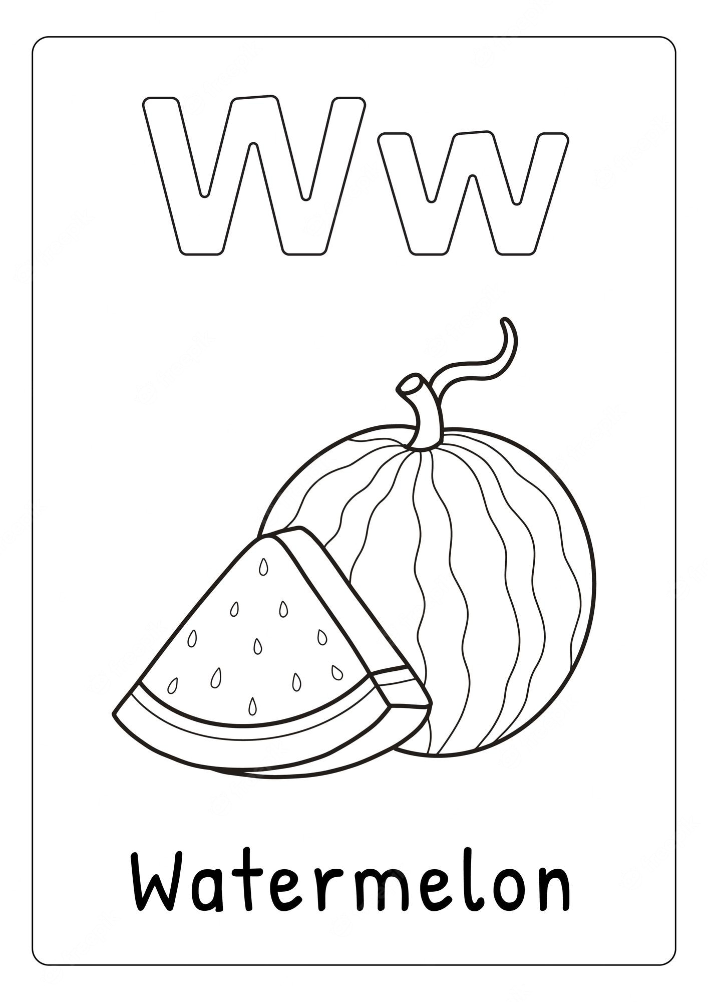 Premium Vector | Alphabet letter w for watermelon coloring page for kids