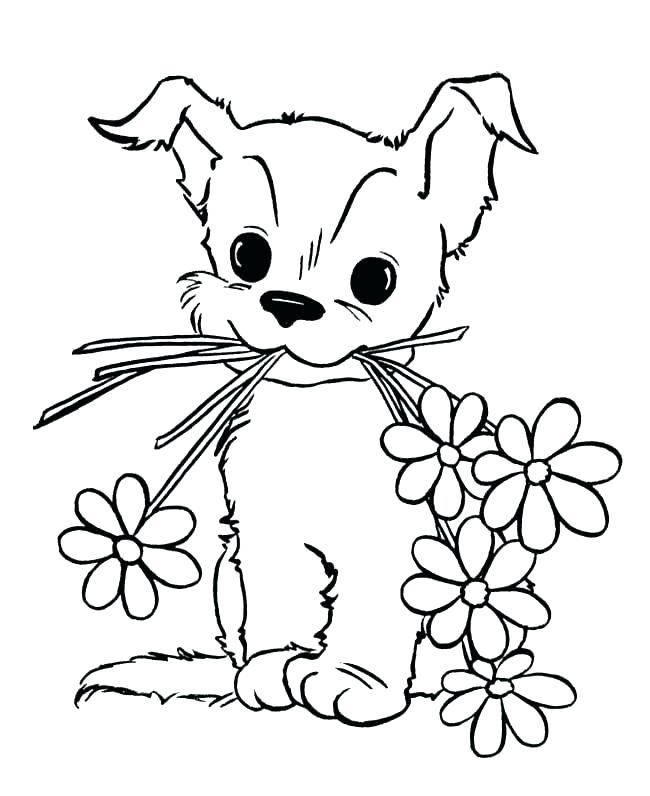 Baby Animal Coloring Pages - Best Coloring Pages For Kids | Puppy coloring  pages, Dog coloring page, Unicorn coloring pages