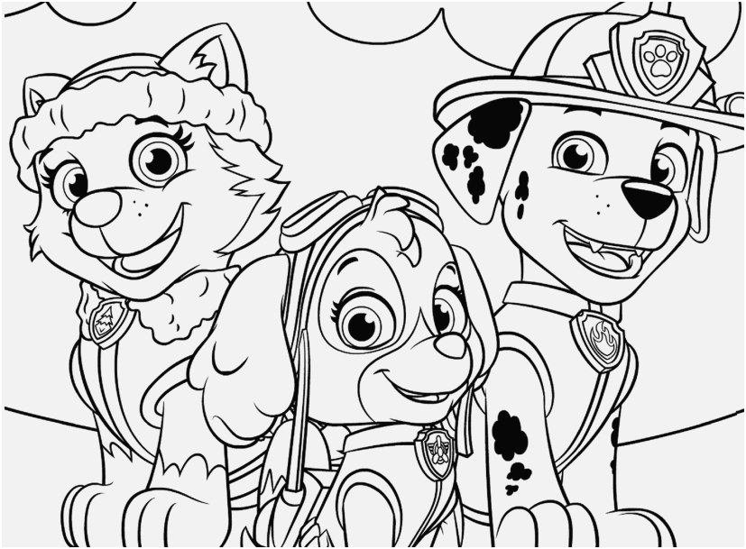Free Paw Patrol Coloring Pages Portraits Everest Marshall and Skye ...