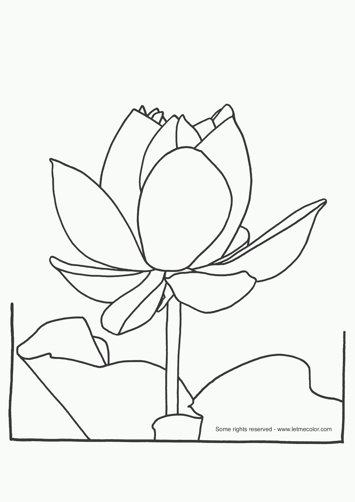 Lotus Flower Coloring Pages   Coloring Home