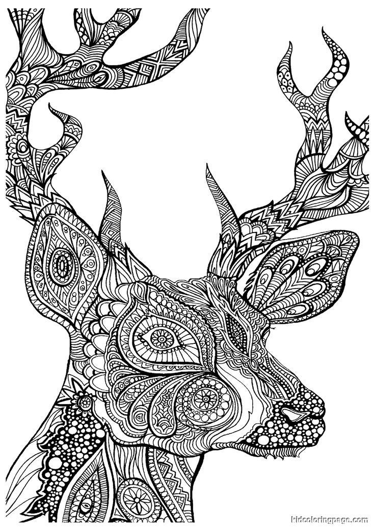 Advanced Coloring Pages Of Animals - Coloring Home