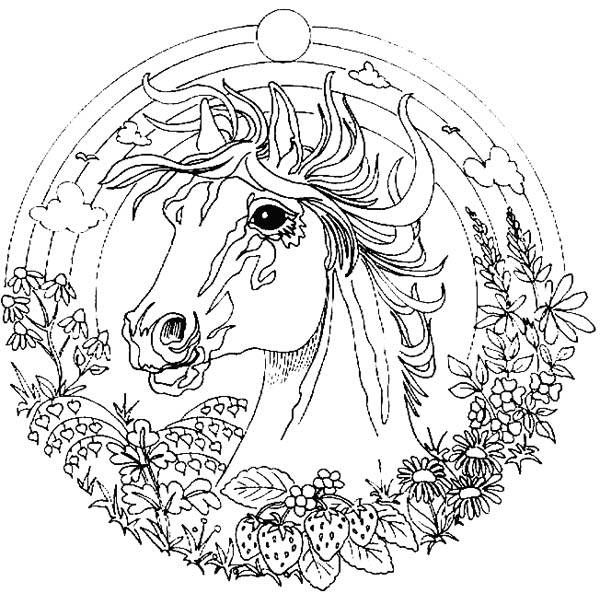 Amazing Animal Horse Mandala Coloring Pages : Batch Coloring